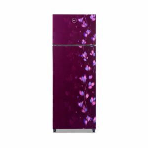Godrej 276 L 2 Star Inverter Frost-Free Double Door Refrigerator