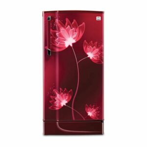 Godrej RD EDGE 205C 33 TAI GL WN Refrigerator